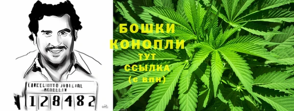 Альфа ПВП Бугульма