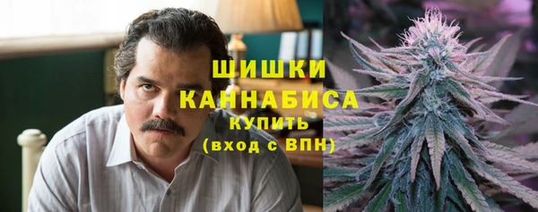 Альфа ПВП Бугульма