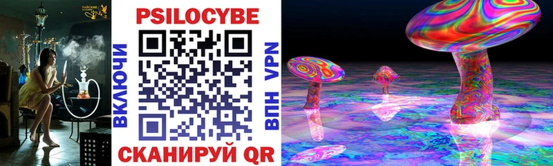 купить наркотики цена Губкинский Псилоцибиновые грибы мухоморы